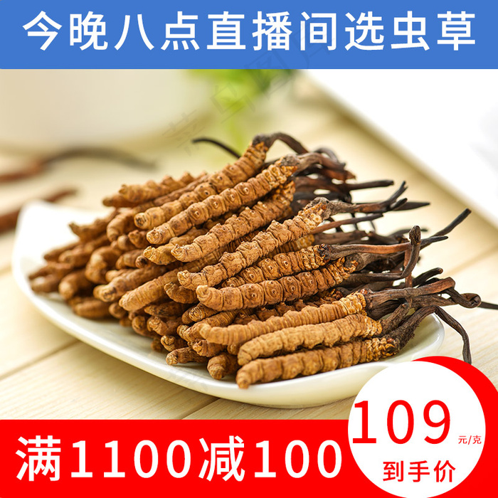 主图电商虫草psd模版下载