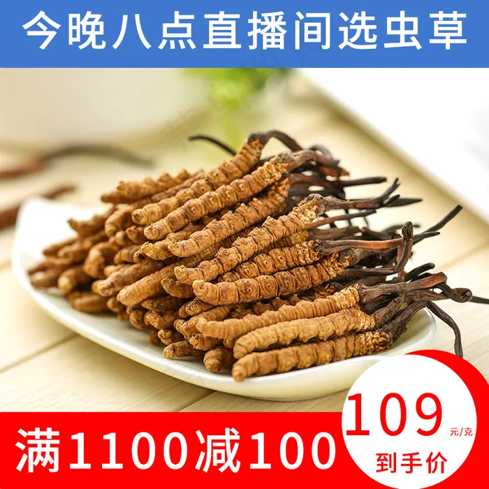 主图电商虫草psd模版下载