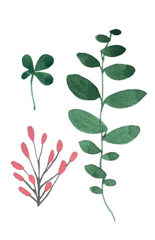 花草树叶图片 树叶