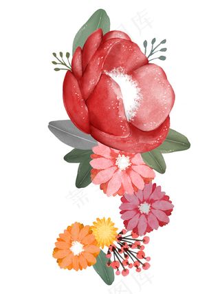 红色鲜花 鲜花插画