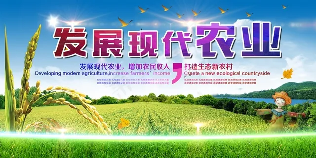 共建美丽新农村海报展板