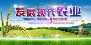 共建美丽新农村海报展板