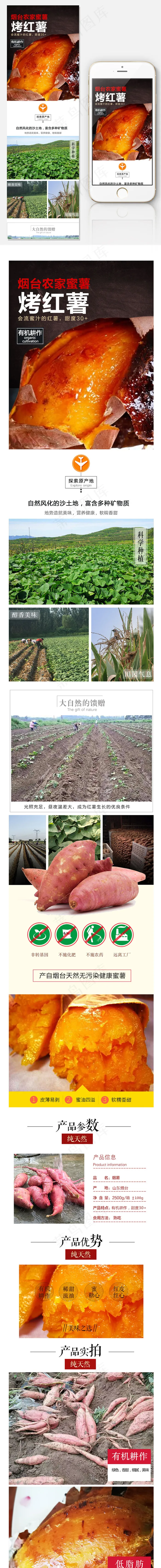 淘宝食品类烤地瓜详情产品描述(608X8820(DPI:72))psd模版下载