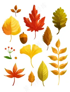 各种树叶图片