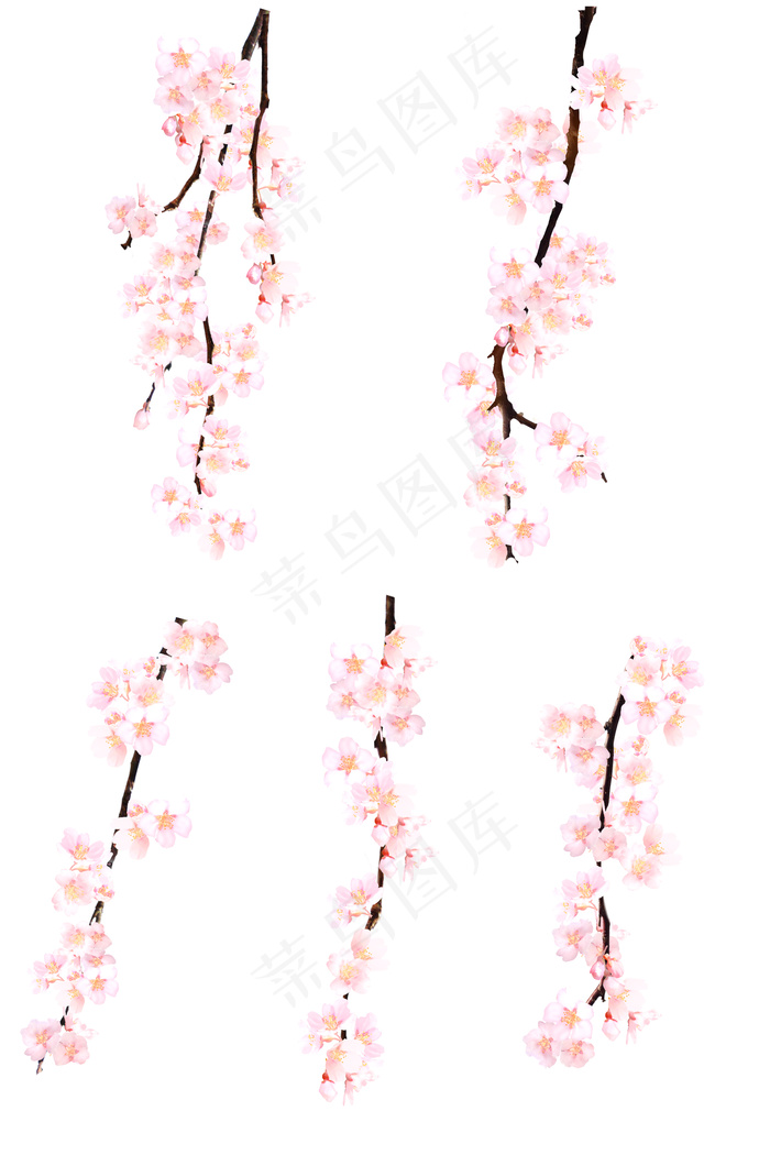 桃花 桃花树枝 手绘桃花psd模版下载