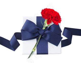 红色康乃馨 礼盒