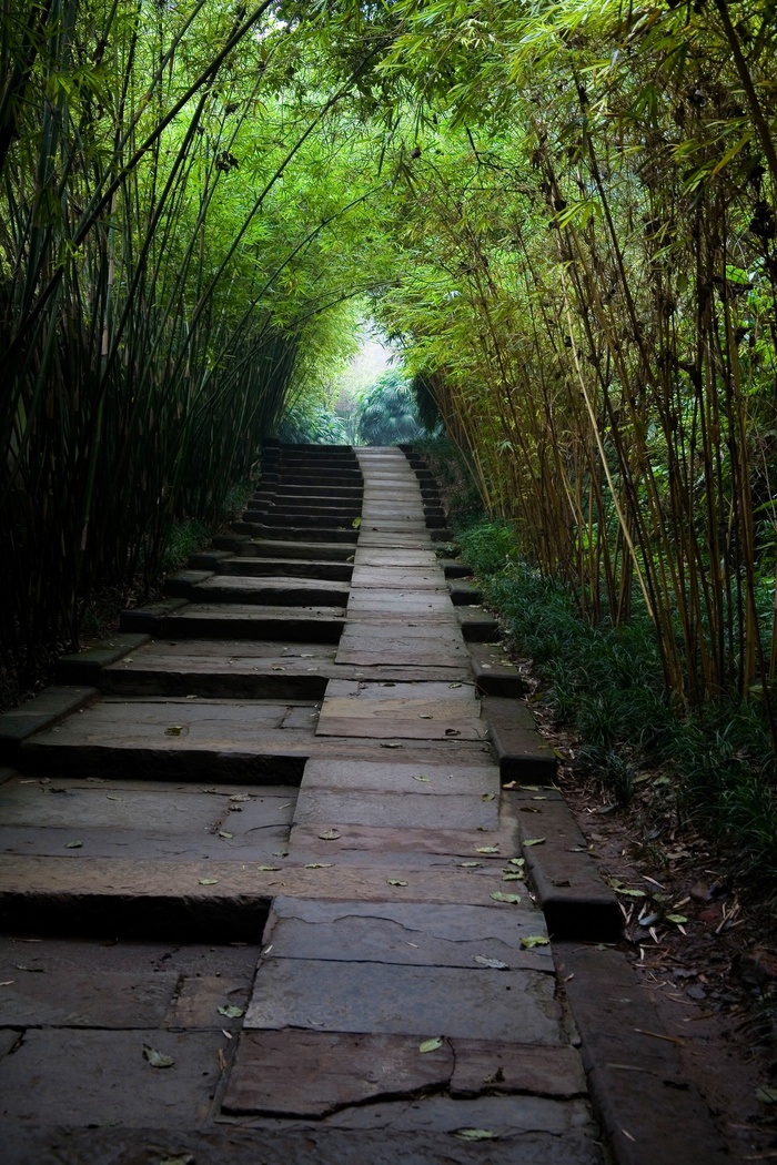 四川乐山大佛景区