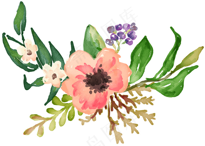 手绘鲜花 百合花