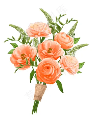 玫瑰花 粉玫瑰 红玫瑰 橘玫瑰