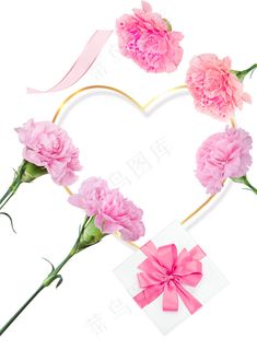 康乃馨 礼盒 粉色康乃馨