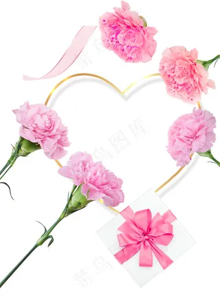 康乃馨 礼盒 粉色康乃馨