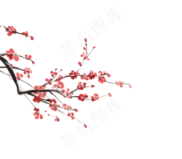 中国风手绘红色腊梅花