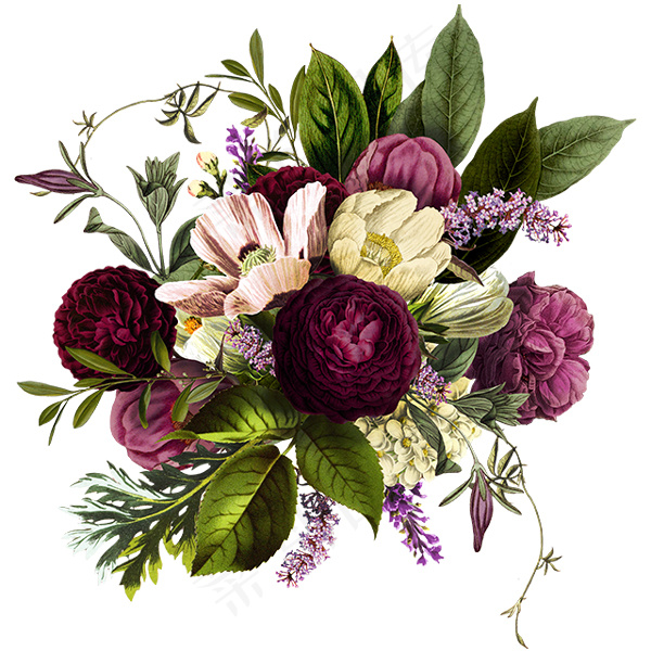 鲜花插画图片psd模版下载