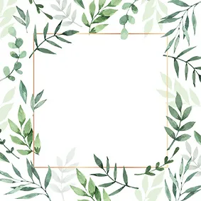 植物画框边框
