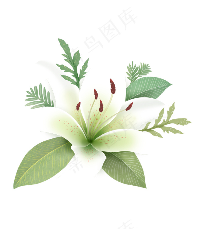 手绘鲜花 牵牛花psd模版下载