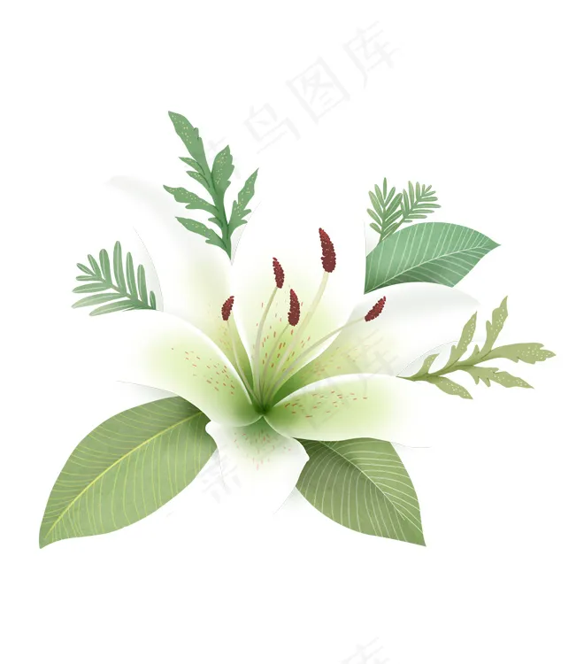 手绘鲜花 牵牛花psd模版下载