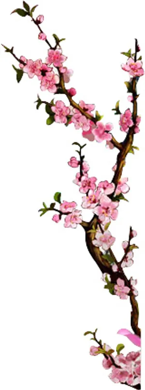 桃花 桃花树枝 手绘桃花