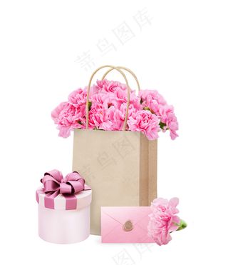 粉色康乃馨 礼盒
