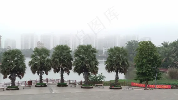 晨雾 城市的早晨