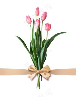 郁金香 蝴蝶结