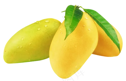 实物水果芒果