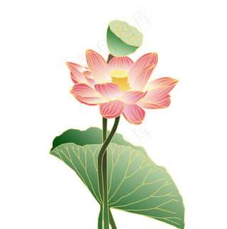 中国风金边荷花元素