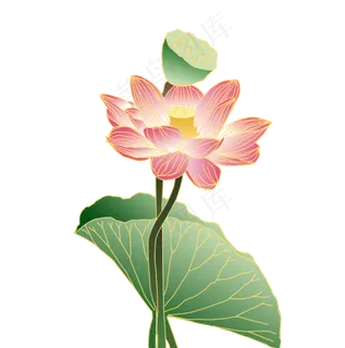中国风金边荷花元素 中国风金边荷花元素