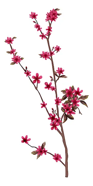 石榴花 石榴枝条 石榴花 石榴枝条