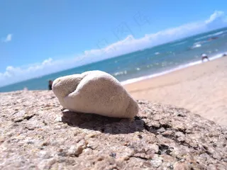 阳光下的海石头