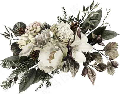 国画鲜花图片 国画鲜花图片