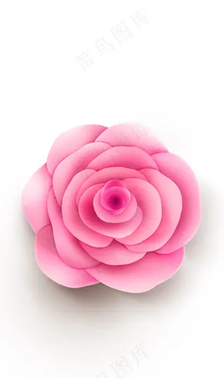 玫瑰花 粉玫瑰 红玫瑰