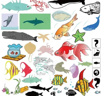 金鱼斑马鱼热带鱼海草图片