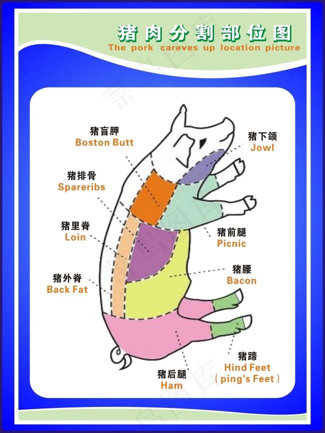 猪肉分割部位图cdr矢量模版下载