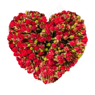精美PSD红色玫瑰花免扣素材