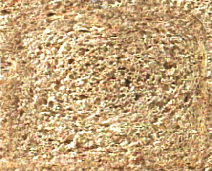 cookie house 饼干房子