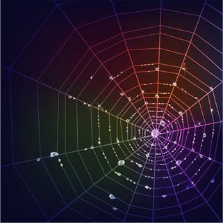 璀璨霓虹蜘蛛网