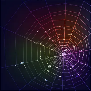 璀璨霓虹蜘蛛网