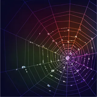 璀璨霓虹蜘蛛网