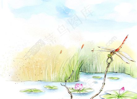 唯美春天蜻蜓图片