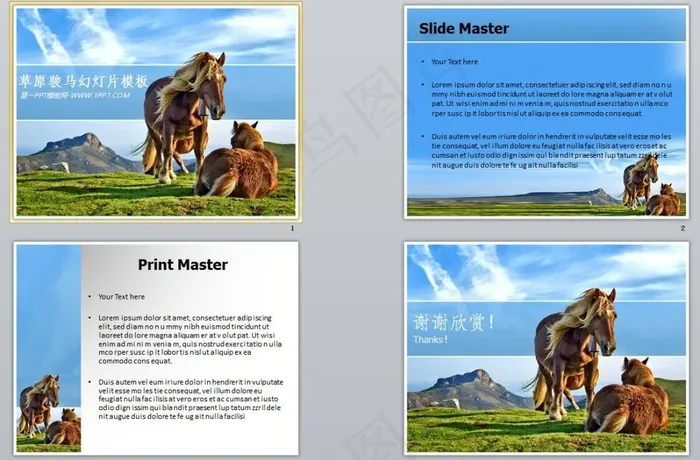 草原上的马PPT模板