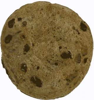 烤面包机的场景