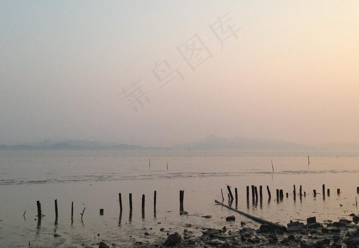 深圳红树林图片