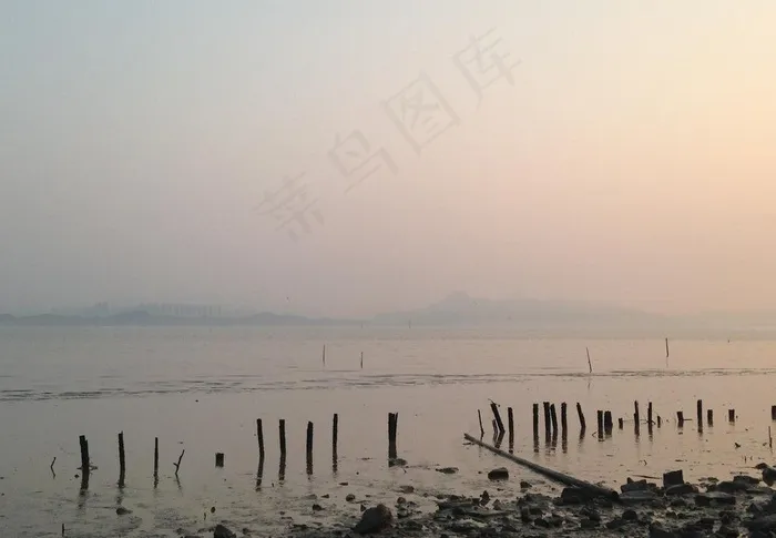 深圳红树林图片