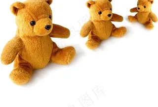 泰迪熊家人图片