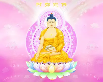 阿弥陀佛佛陀 阿弥陀佛佛陀