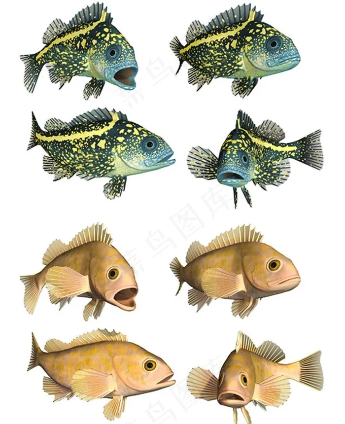 深海鱼类素材图片psd模版下载