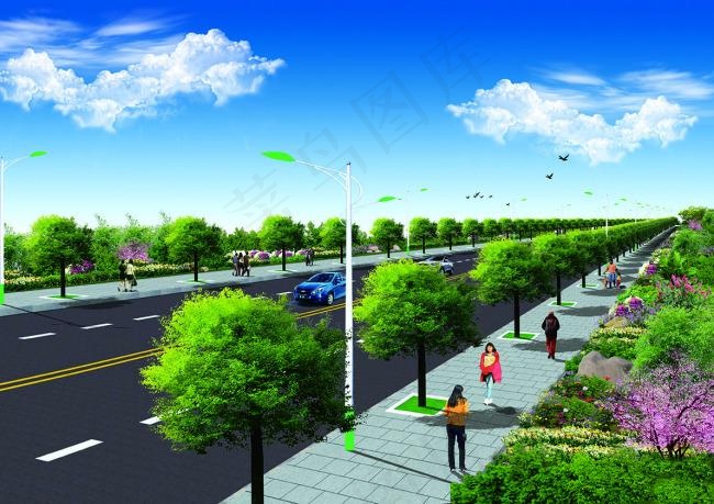 道路绿化樟树psd分层