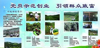党员示范创业 宣传栏图片