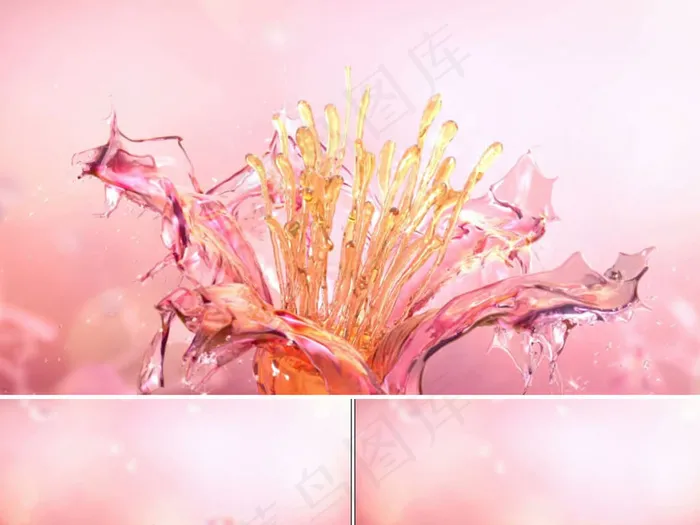 三维精致花瓣浮出水面视频素材