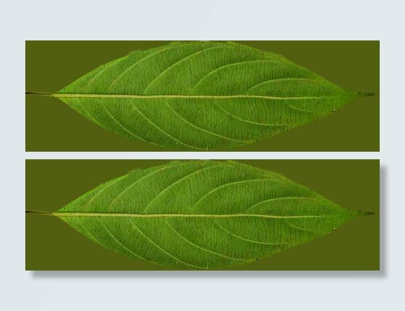 3d室内模型素材